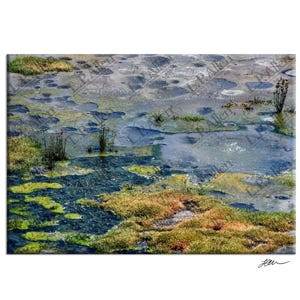 Könnte beinhalten: Nahaufnahme einer natürlichen Landschaft mit einem flachen Wasserbecken. Das Wasser ist hellblau und von grünem Moos und Gras umgeben. Das Wasser ist mit kleinen, runden, dunkelblauen Formen gefüllt, die Steine oder Algen sein könnten.