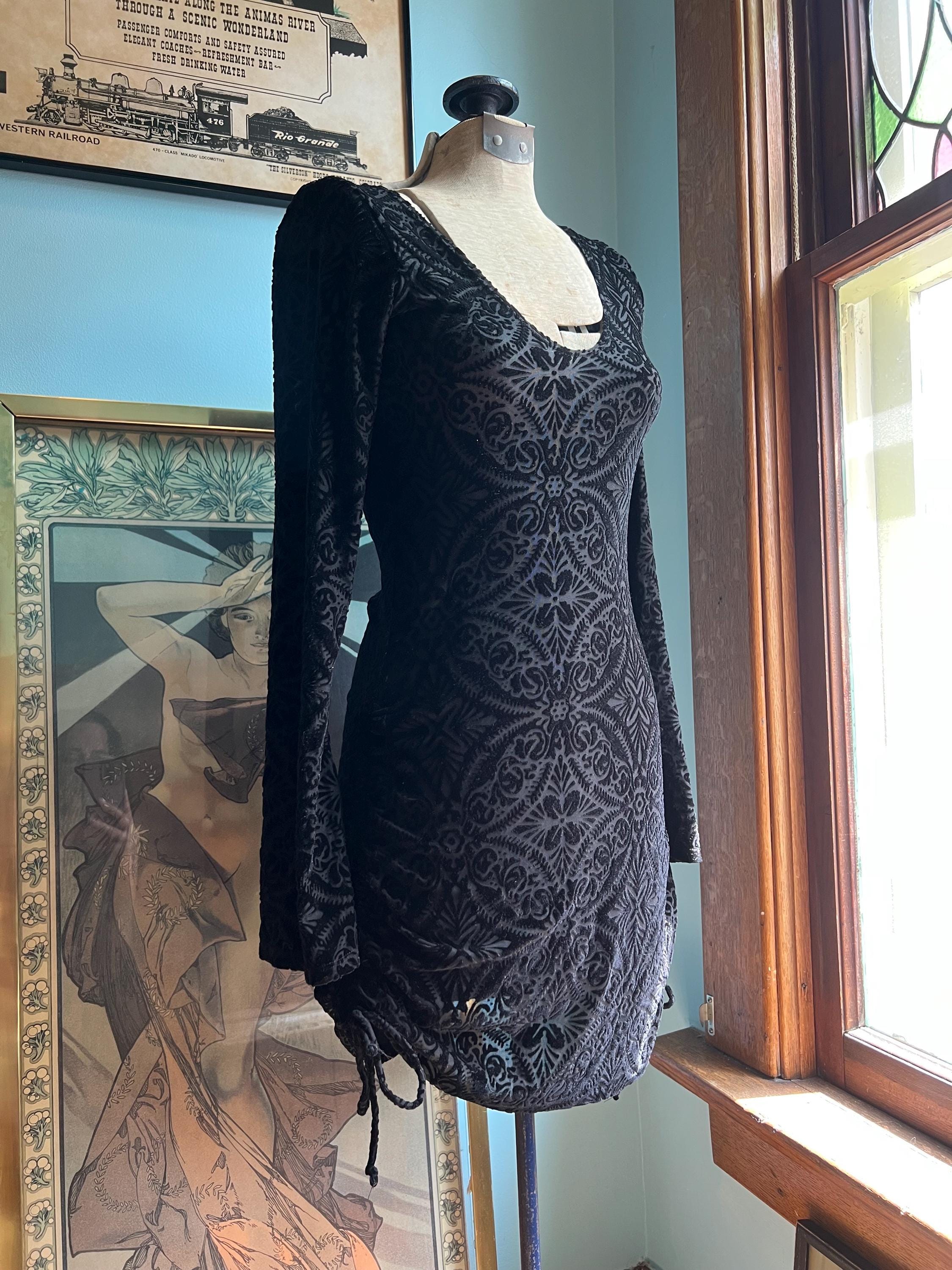 Velvet Sheer Whimsigoth Tie Detail Dress