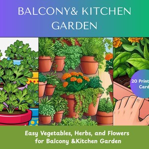 Balcony Garden Plant Care Card Printable Kitchen Garden Plant Care Cards ,20 Special Plant Growing Cards Easy to Grow Plant Card
