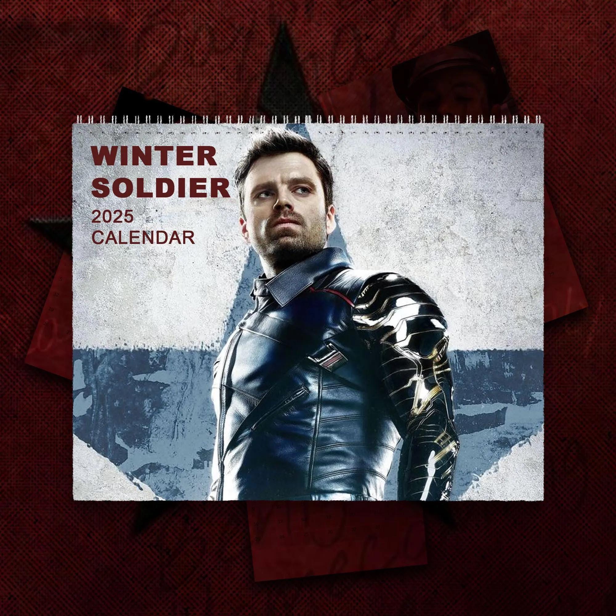 Discover Sebastian Stan 2026 Calendar, Wall Calendar 2026, Planner 2026, Sebastian Stan Mug Gift