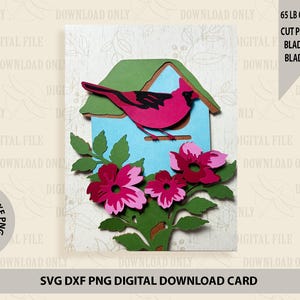 Tarjeta SVG de casa de pájaros cardenal, máquina de corte, amantes de la naturaleza, flores, descarga digital