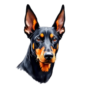 Paquete de imágenes prediseñadas de dóberman: 5 ilustraciones únicas de perros para scrapbooking, manualidades y proyectos digitales, PNG de alta calidad, imágenes prediseñadas de dóberman pinscher