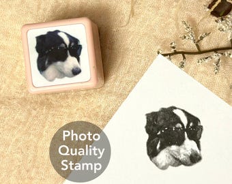 Custom Pet Photo Quality Ink Stamp, Ultra High-definition Stamps of Pet, Human Face