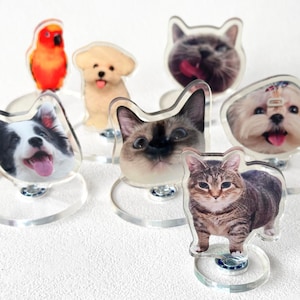 May include: Acrylic pet photo holders featuring a parrot, a golden retriever, a cat, and several dogs. Each holder has a clear base and a photo of the animal. The animals are shown with their tongues out.