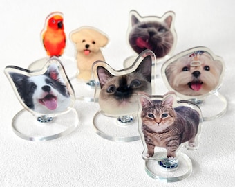 Custom Pet Spin Stand, Personalized Desk Decoration, Acrylic Pet Portrait