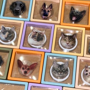 May include: A collection of colorful phone grips with different animal images. The grips are in various colors, including purple, orange, blue, and green. The animal images include a cat, a dog, and a chihuahua.
