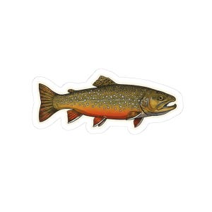 Brook trout fly fishing sticker
