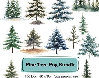 Puede incluir: Ilustraciones en acuarela de varios pinos, algunos cubiertos de nieve. La imagen presenta diferentes formas y tamaños de árboles, con un bosque de fondo. El texto dice "Pine Tree Png Bundle".