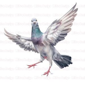 May include: Watercolor illustration of a pigeon with outstretched wings. The bird features gray, white, and purple plumage, with red feet and a focused gaze. The artwork has a soft, artistic style, perfect for wall art or decor.