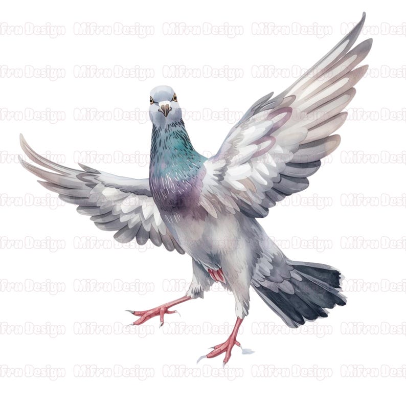 May include: Watercolor illustration of a pigeon with outstretched wings. The bird features gray, white, and purple plumage, with red feet and a focused gaze. The artwork has a soft, artistic style, perfect for wall art or decor.
