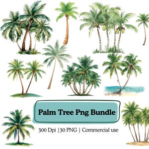 May include: Watercolor illustrations of various palm trees in shades of green and brown. The image includes a variety of palm tree styles, some with coconuts, and a text box that reads "Palm Tree Png Bundle".