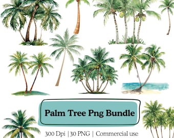 30 Palm Tree PNG Graphics Bundle, Watercolor Tropical Green Leaves Clipart, Summer Beach trees Graphic, Forest Tree Greenery clipart Png