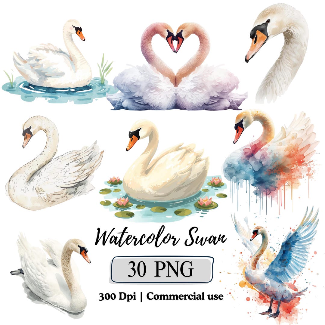 Watercolor Swan Clipart Animals PNG Bundle, Fairy Tale Swans ...