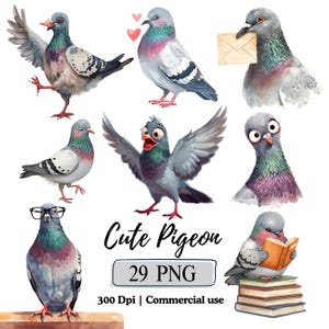 May include: Watercolor illustrations of pigeons in various poses. One pigeon is wearing glasses, another is holding a letter, and another is reading a book. The text "Cute Pigeon" is displayed with "29 PNG" and "300 Dpi | Commercial use".