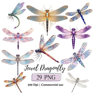 May include: A collection of nine watercolor illustrations of dragonflies in various colors, including blue, purple, gold, and orange. The image includes the text "Jewel Dragonfly" and "29 PNG". The dragonflies have detailed wings and bodies.