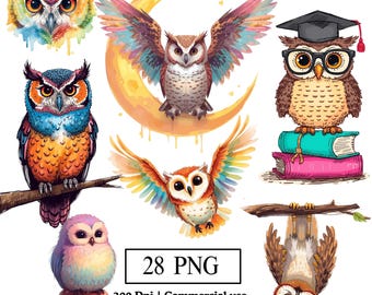 May include: A collection of colorful owl illustrations in various poses. One owl is perched on a branch, another is hanging upside down, and one is wearing a graduation cap. The image includes the text "28 PNG" and "300 Dpi | Commercial use".