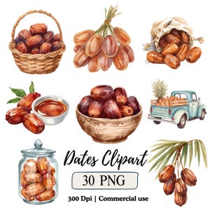 May include: Watercolor illustration of dates in various arrangements: a wicker basket, a tied bunch, a cloth bag, a bowl, a jar, and a vintage truck. The image includes the text "Dates Clipart" and "30 PNG".