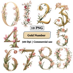 Può includere: Un set di dieci numeri color oro, ognuno adornato con composizioni floreali di fiori rosa e bianchi e foglie verdi. I numeri sono in una varietà di caratteri eleganti. Il testo sull'immagine recita "10 PNG", "Gold Number", "300 Dpi | Commercial use".