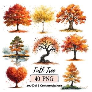 Könnte beinhalten: Eine Sammlung von neun Aquarellillustrationen von Herbstbäumen in verschiedenen Formen und Farben. Die Bäume zeigen lebendige Farbtöne von Rot, Orange und Gelb, wobei einige herzförmige oder verdrehte Stämme aufweisen. Text: "Fall Tree 40 PNG 300 Dpi | Commercial use."