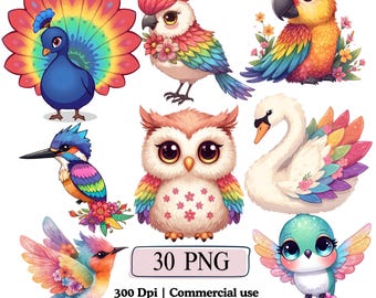 Cartoon Floral Birds Art Clipart Whimsical PNG Bundle, Fantasy Bird Nursery Decor Rainbow Illustrations, Watercolor Spring Colorful Animal