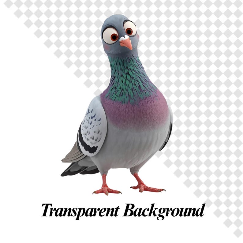 May include: A cartoon pigeon with a gray body, a purple chest, and a green and purple neck. The bird has large, expressive eyes and a pink beak. The text "Transparent Background" is at the bottom.