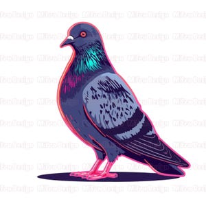 May include: A digital illustration of a pigeon. The bird is primarily gray with iridescent teal and purple accents on its neck and chest. The pigeon's feet are bright pink, and it is set against a white background.