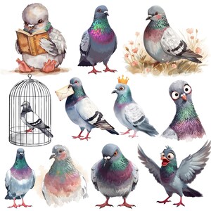 May include: Watercolor illustrations of various pigeons in different poses. One pigeon is reading a book, another is wearing a crown, and one is carrying a letter. The birds have gray, blue, and pink feathers.
