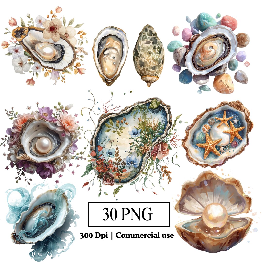 Pearl Oysters PNG Seashell Clipart Bundle, Watercolor Folk Gemstone ...