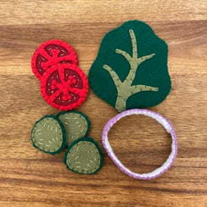 Felt Veggie Pack for Burger