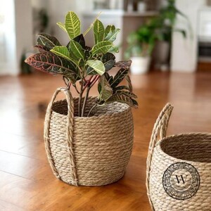 May include: Two natural woven seagrass baskets with rope handles. The larger basket is filled with a green and red houseplant. The baskets are on a wooden floor.