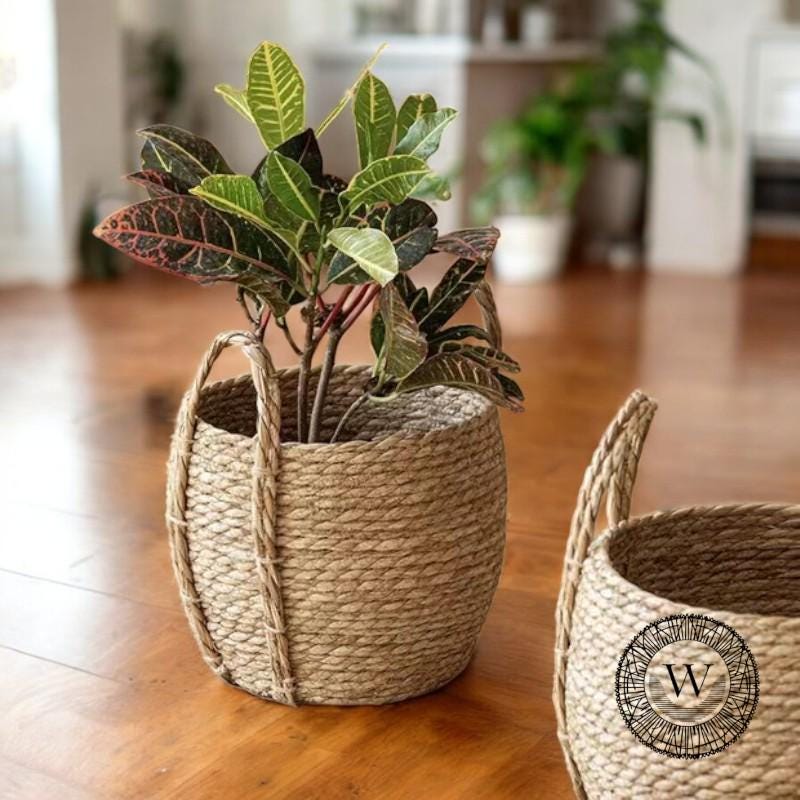 Erhard-Trading Hängeblumentopf Benidorm Blumenampel Blumentopf Kunststoff Rattan-Optik (Dunkelbraun