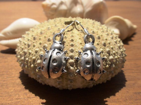 Sterling Silver hook earrings dangle • Beaded Drop Boho Earrings • Dainty Cute Handmade jewelry Gift for Her by kekugi