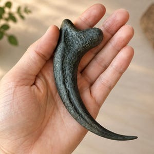 May include: A dark gray, curved claw-shaped object with a textured, uneven surface. The item features a wide, rounded base that tapers into a sharp, pointed tip, mimicking the appearance of a large animal talon with a matte finish.