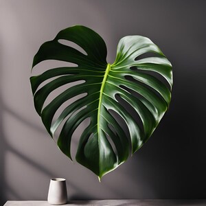 Botanical illustrations Botanical illustrations
