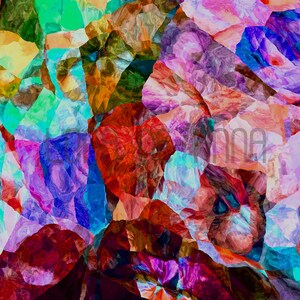 May include: Abstract art print with a colorful, geometric pattern of red, blue, green, purple, and orange. The pattern is made up of many small, irregular shapes that create a sense of movement and energy.