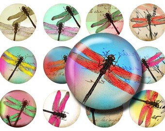 1.5 inch Circle Dragonfly- Designs for Pendant,ScrapBooking and Bottle Cap -Printable Collage Instant Download