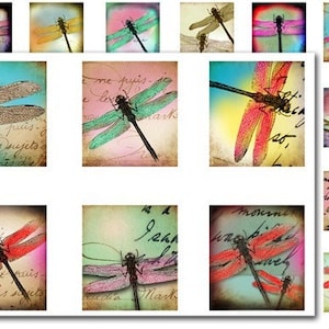 May include: A collage of 12 vintage images featuring colorful dragonfly illustrations on a background of old paper with handwritten text. The dragonflies are in various colors, including red, blue, green, and yellow.