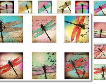 Dragonfly--.75x.83inch Scrabble Tile Images , Craft Supply,Pendant,ScrapBooking, Magnet -Printable Digital Collage sheet