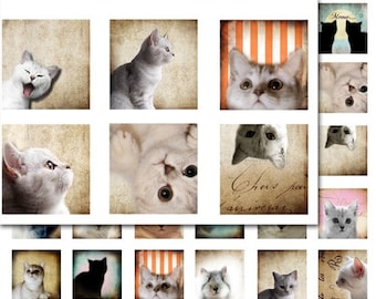CAT-1 inch square  images-Printable Collages Download