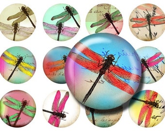 192  1Inch Circles 4 Sheets Dragonfly, Butterfly Pendant,ScrapBooking, Magnet, Button and Bottle Cap -Printable Digital Collage Sheet