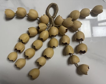 Handmade Cycad Fruit Rattle Bell: Rustic Cottagecore Wind Chime