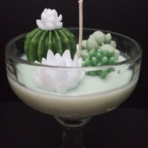 Margarita Glass Candles, Succulent Margarita Candle, Party Candle