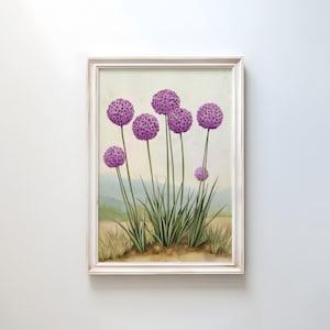 Allium Art Print | Minimalistisches Blumen Poster | Sanfte grüne Landschaftswandkunst | Gedämpfte Gartenblumen Dekor | Gelassenes Blumen Kunstwerk