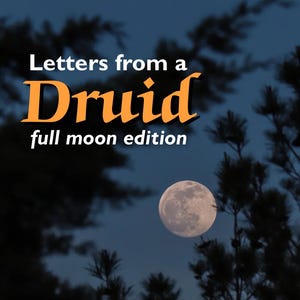 Cartas de un druida, cartas de sabiduría únicas, personalizadas, escritas a mano, bendecidas y selladas con lacre