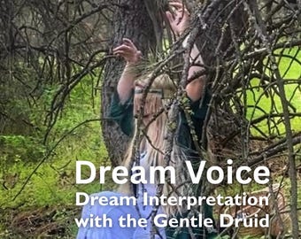 Dream Voice - Audio Interpretation - Spoken Dream Interpretation from the Gentle Druid