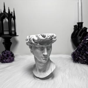 David Head Übertopf | Eingebaute Ablaufschale | Dark Academia Wohndekor | 3D Gedruckt