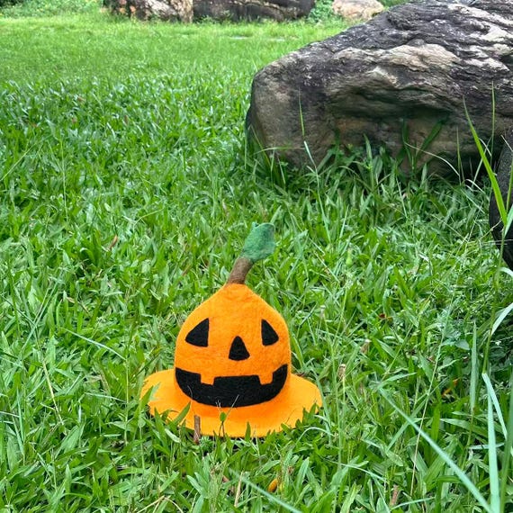 Felted Wool Pumpkin Hat - Halloween Costume - Sauna Cap - Etsy display picture 1
