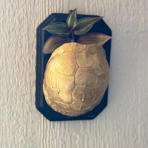Golden Propogation Turtle.
