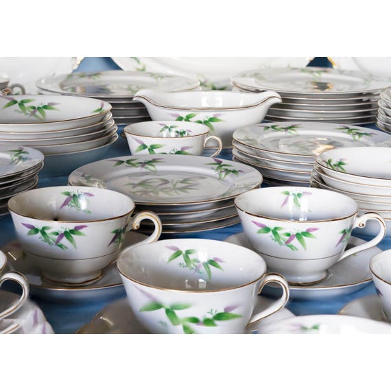Orion Fine China Spring Bamboo Pattern OR15 Dinnerware Set. 87