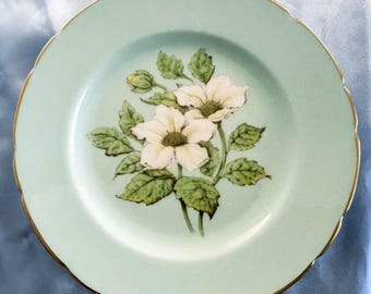 Paragon Floating Dogwood Pattern 1624 Salad Plate. Double Warrant By Appointment. Vintage. England